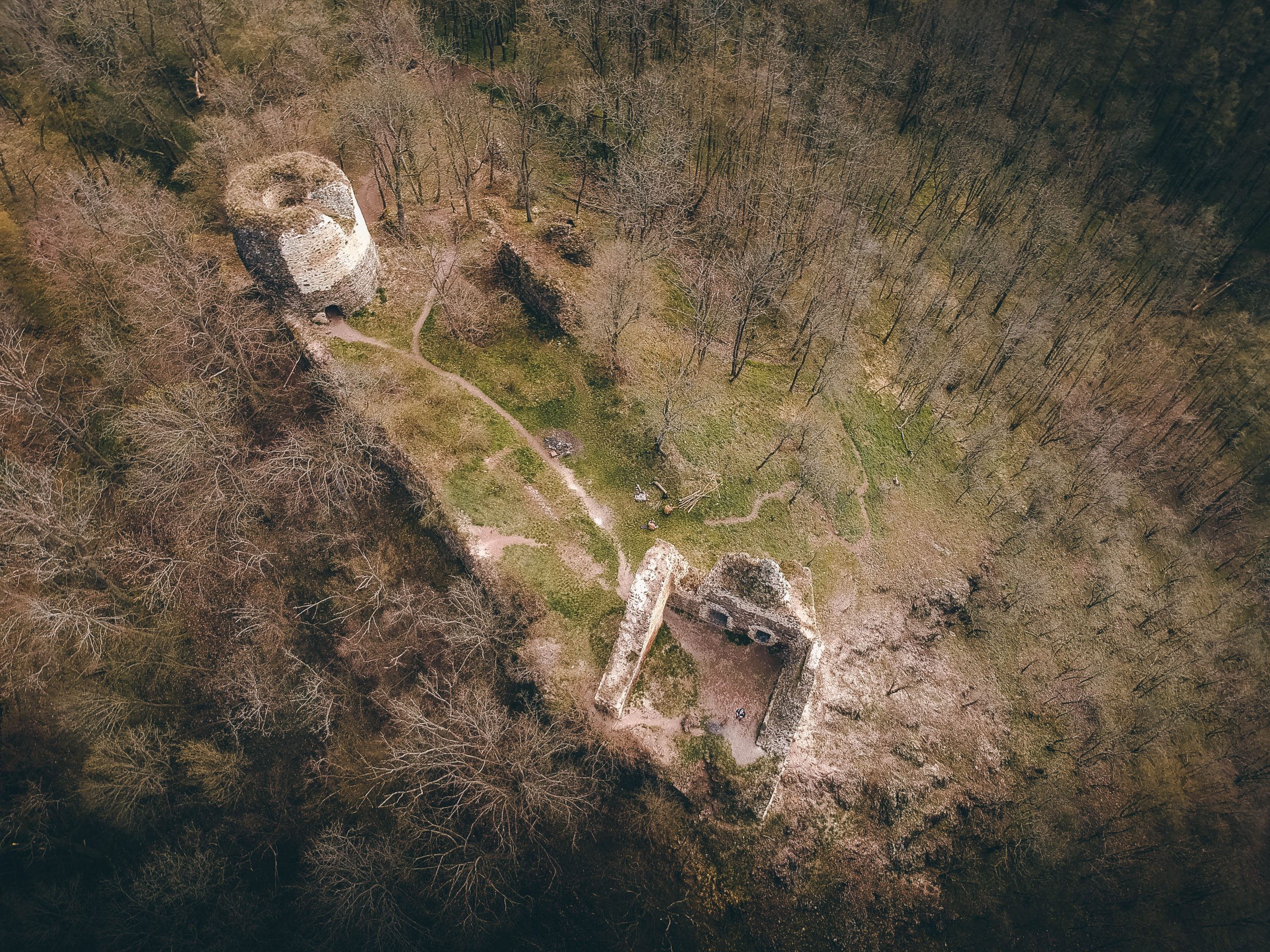 Ruiny zamku Týřov
